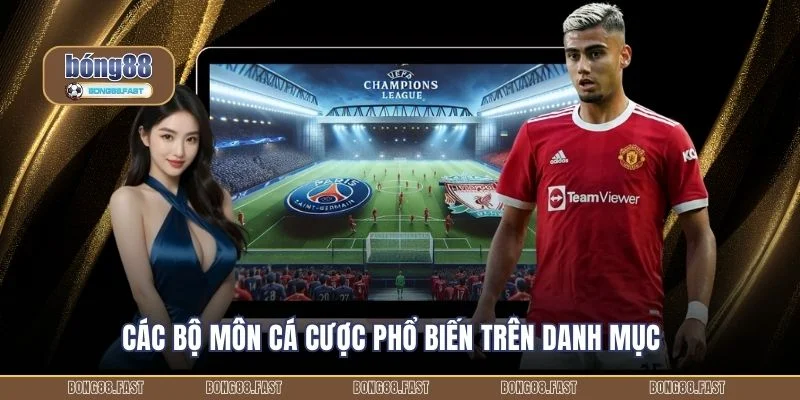 Thể Thao 3 Các bộ môn cá cược phổ biến trên danh mục