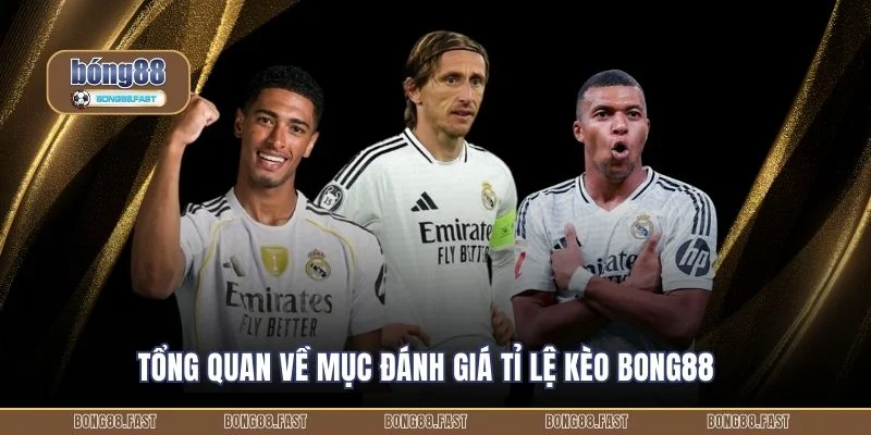 Tổng quan về mục đánh giá tỉ lệ kèo Bong88
