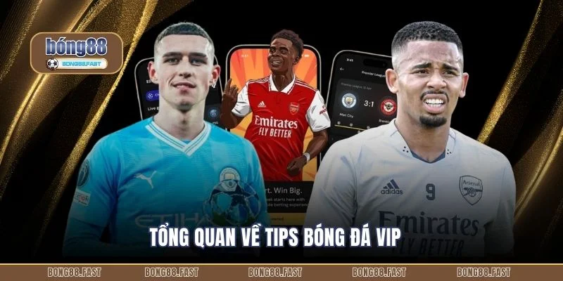 Tips Bóng Đá VIP Bong88 Tạo Lợi Thế Soi Kèo Hiệu Quả 1 Tổng quan về tips bóng đá VIP